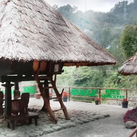 Rice Homestay Banaue Exterior foto