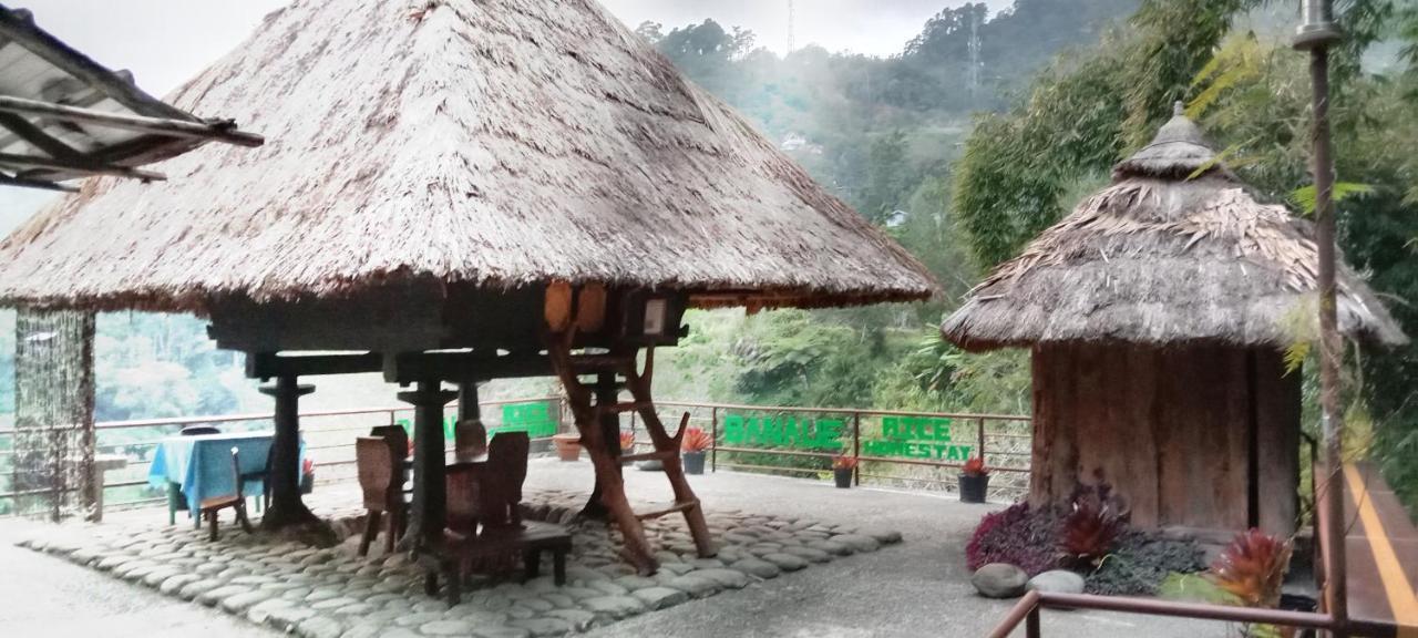 Rice Homestay Banaue Exterior foto